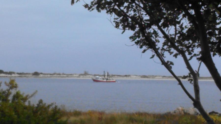 IMAG0782
